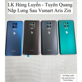 Nắp Lưng Sau Vsmart Aris Zin