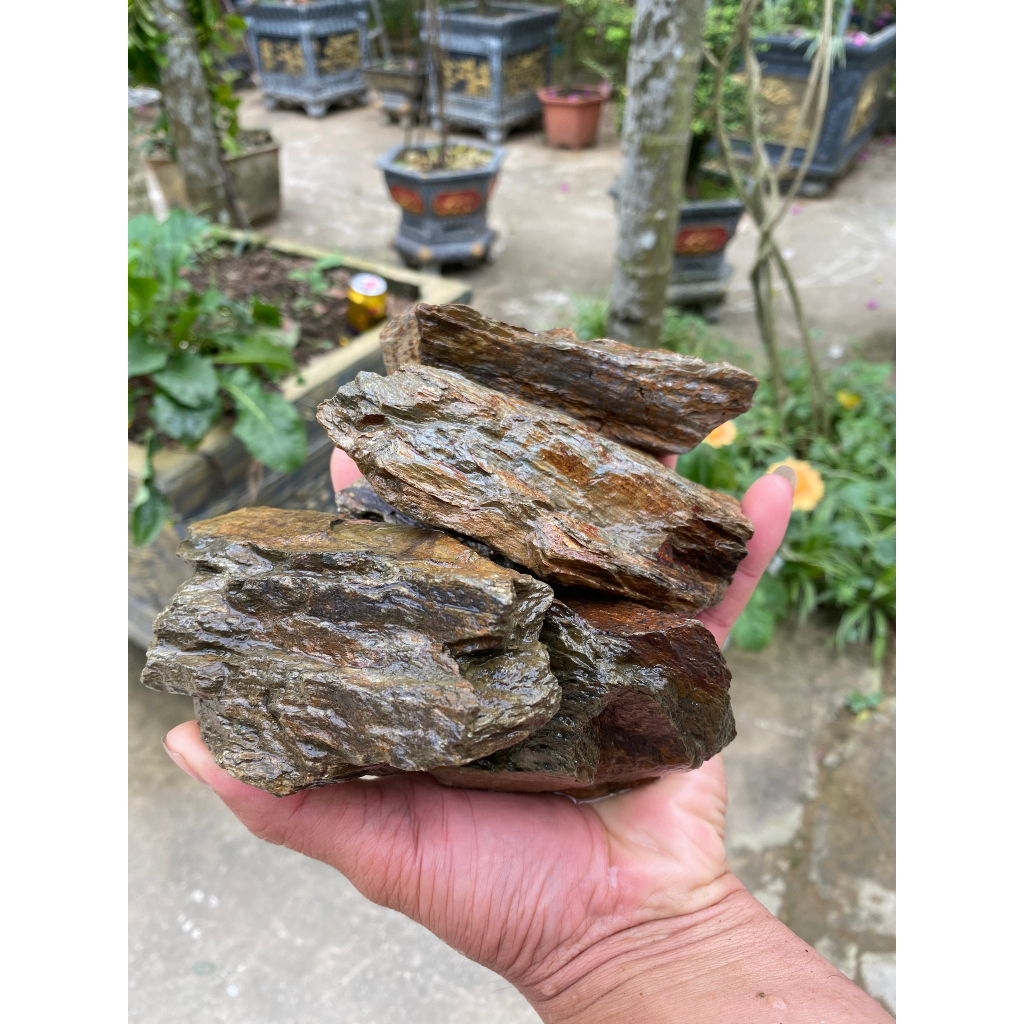 ĐÁ TỰ NHIÊN trang trí hồ cá thủy sinh mini