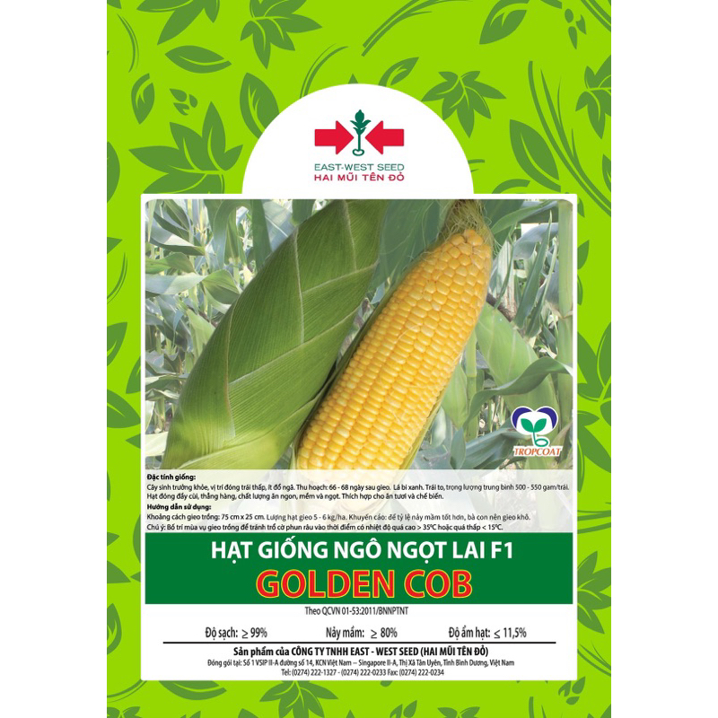 Hạt giống ngô ( bắp ) Mỹ ngọt lai F1 Hai Mũi Tên Đỏ