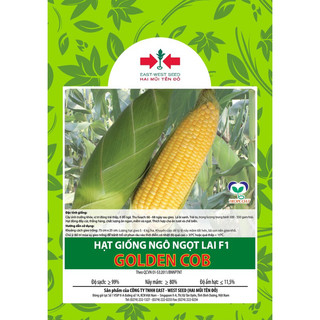 Hạt giống ngô ( bắp ) Mỹ ngọt lai F1 Hai Mũi Tên Đỏ ( Gói 50gr )