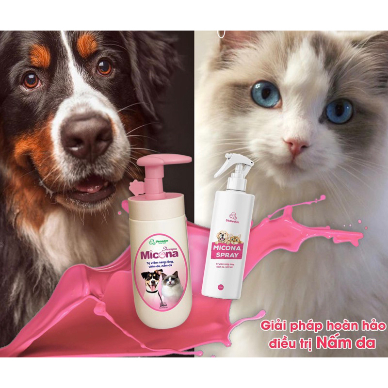 MICONA Spray xịt nấm da, viêm da chó mèo