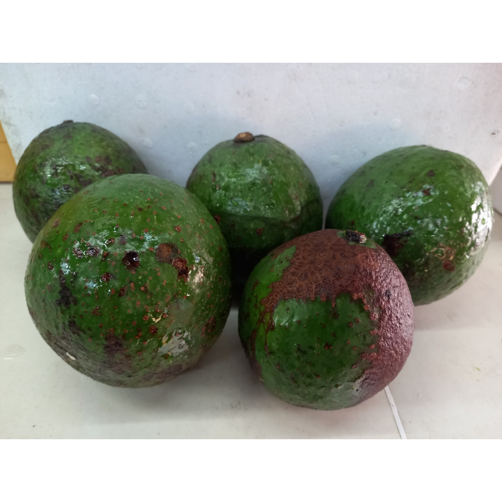 Bơ booth da nám dẻo ngon    -1kg