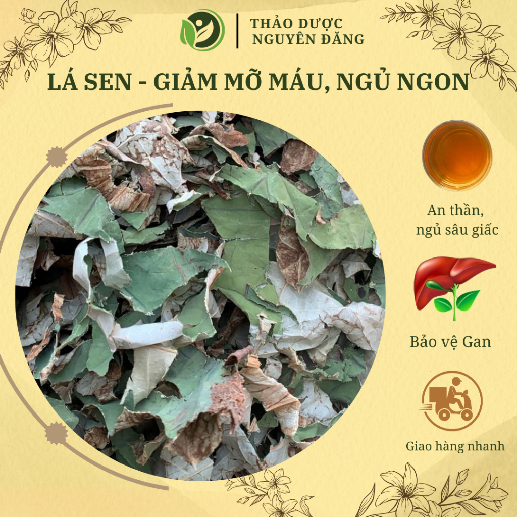 Lá sen khô, giảm mỡ máu xanh sạch thơm, gói 250g