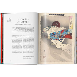 Witchcraft. ISBN:9783836585606