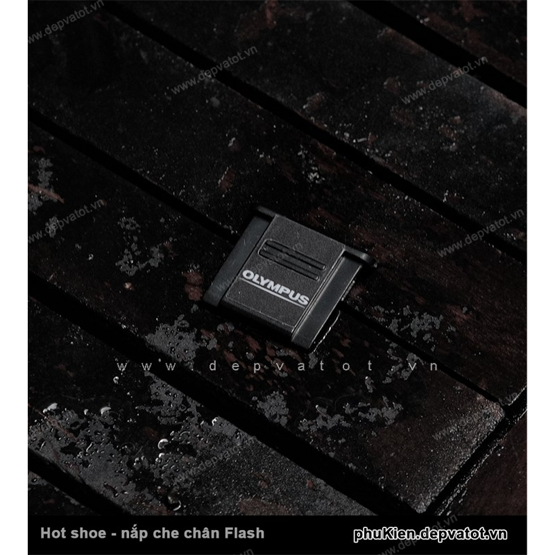 Nắp che chân flash máy ảnh  các hãng - Hot Shoe