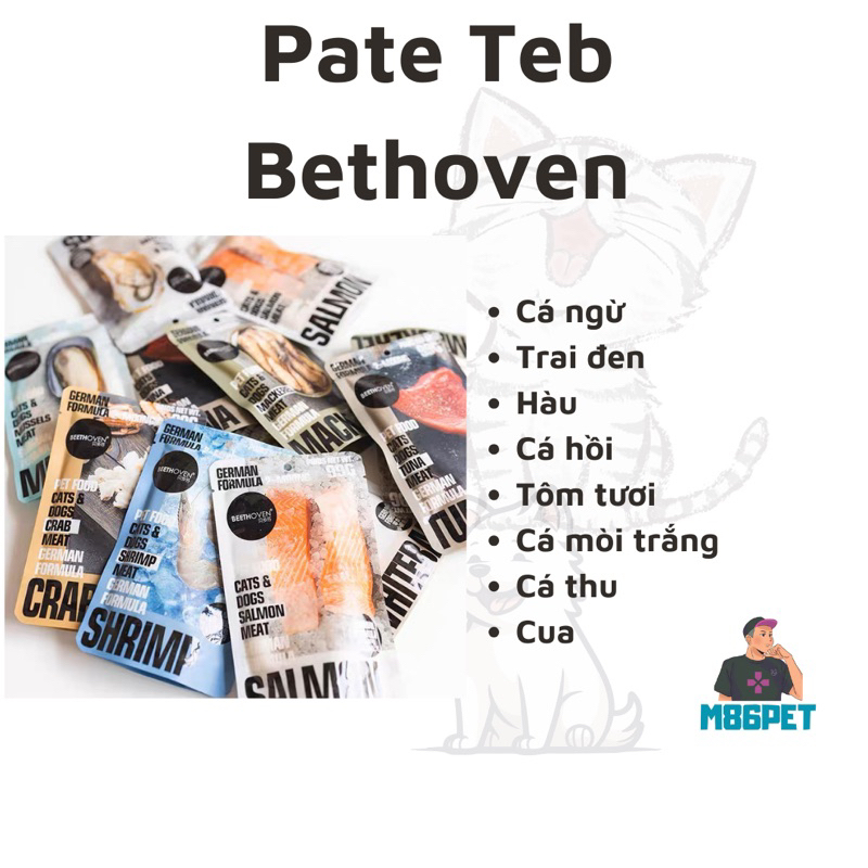 Pate Teb Beethoven 99gr cho mèo m86pet