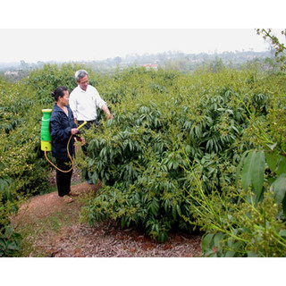 Dây ràng,chun,thun, buộc hàng có móc