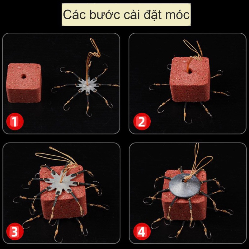 Lưỡi đĩa câu mồi gạch - Câu lăng xê