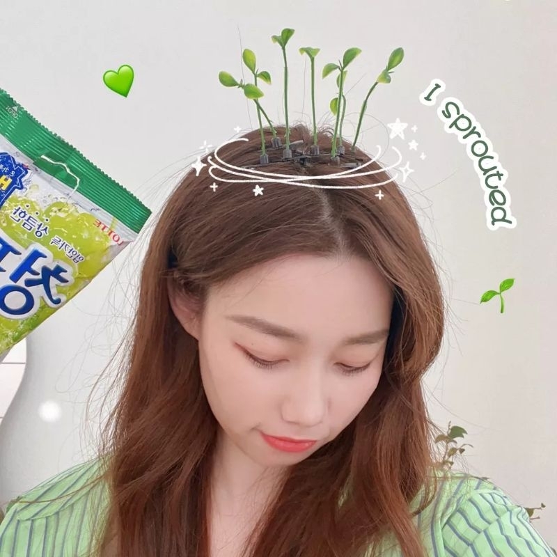 Kẹp tóc mầm cây dễ thương