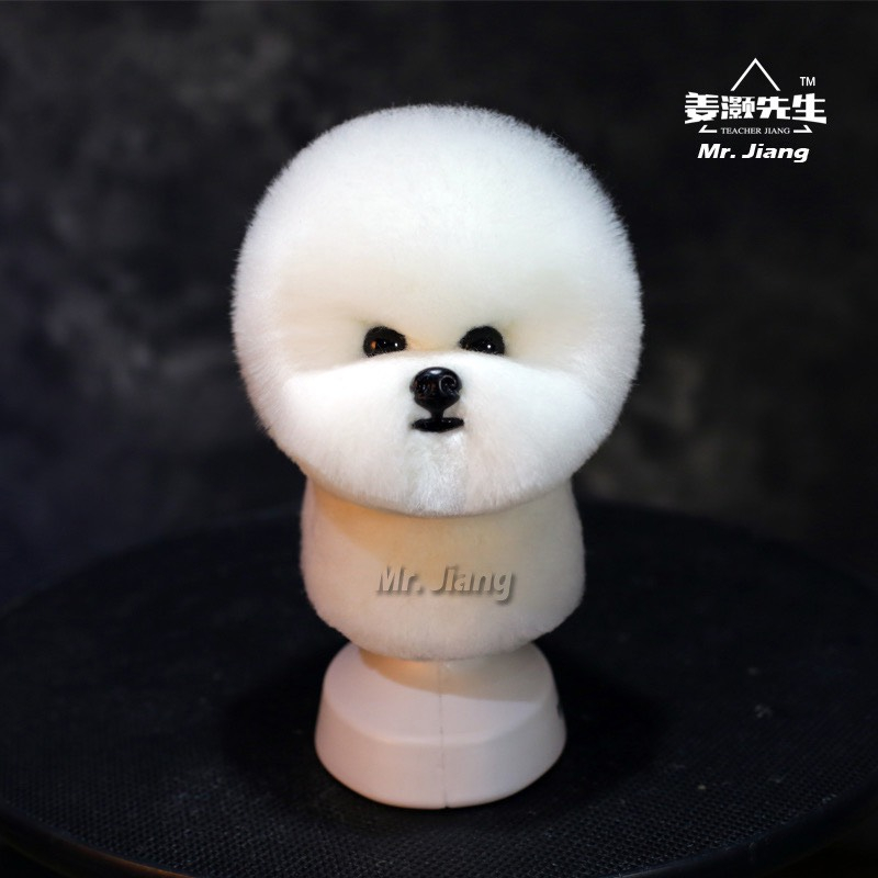 Lông BICHON mặt & khung xương giả Mr.Jiang