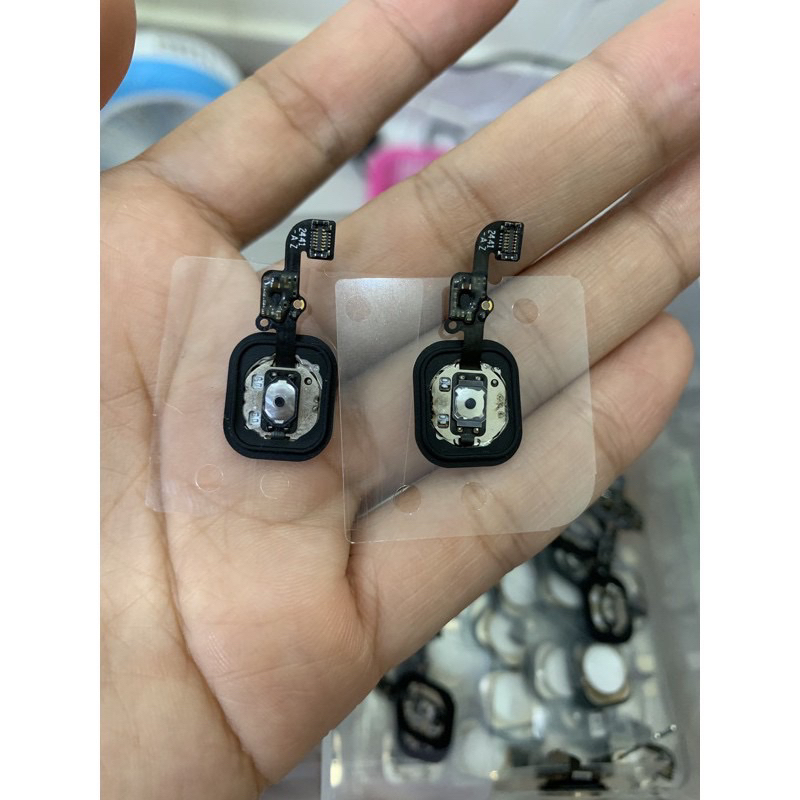 Home  6G, 6S, 6P,6Sp,…