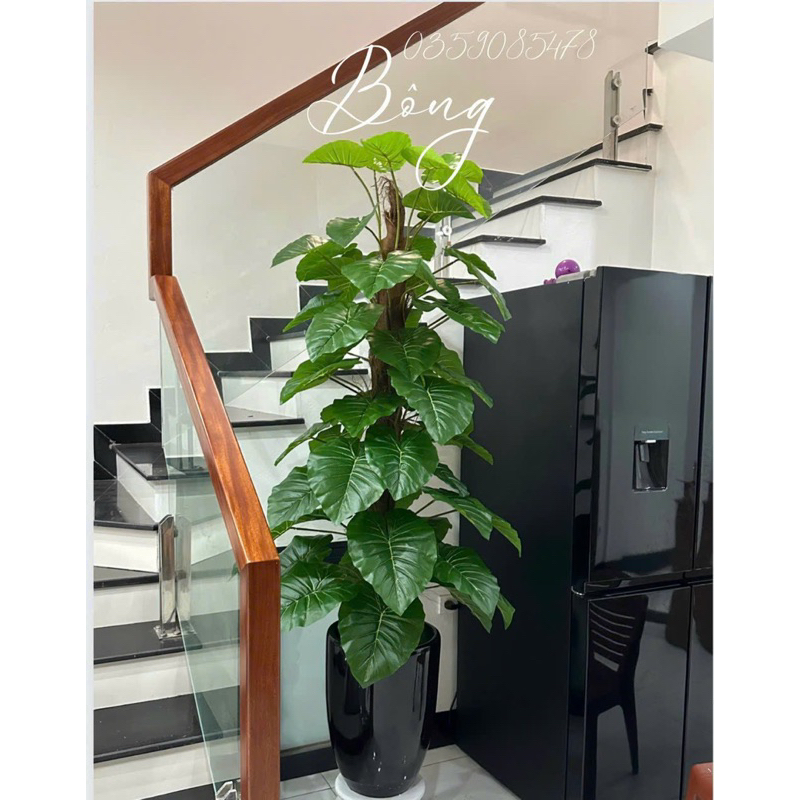 Cây trầu bà giả 63 lá cao 1m6 decor siêu xinh cây chưa chậu
