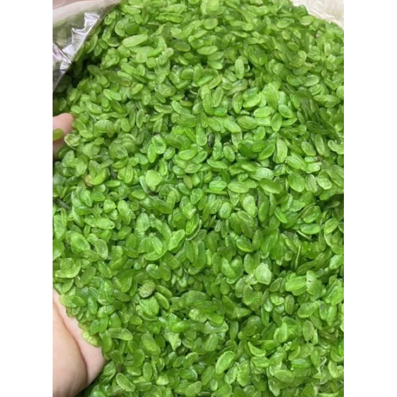 Hạt cốm xanh khô nấu chè 500g