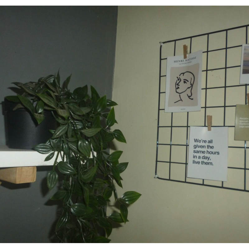 Máy ảnh Vintage Panasonic Lumix Dmc S1 đậm và nét