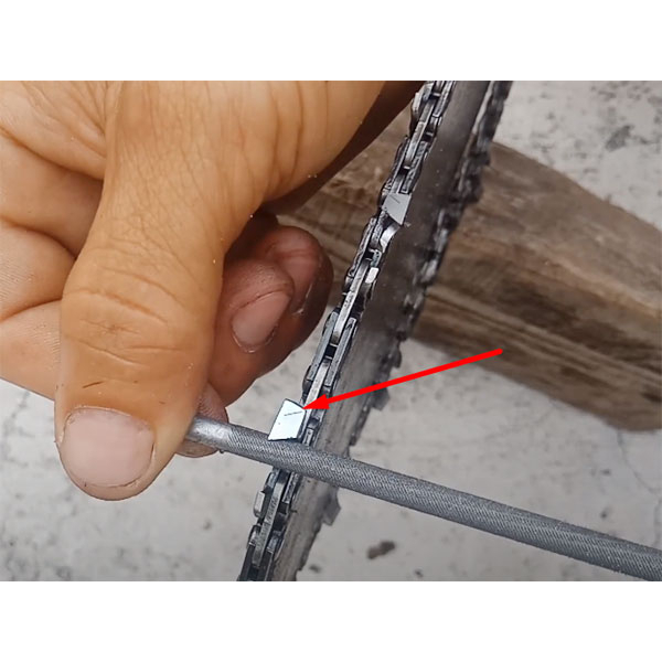 Dũa Cưa Xích Chính Hãng