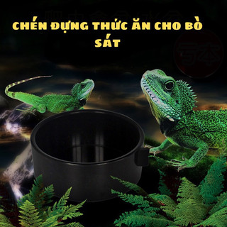 Chén đựng thức ăn cho bò sát , chén mi ni cho thằng lằn , LG