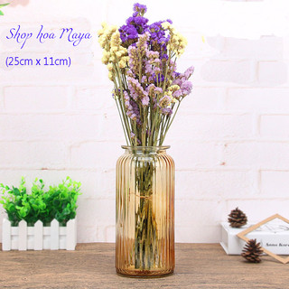 Lọ Hoa Thủy Tinh Múi Khế lục giác, bình tuỷ tinh vân sọc sáng tạo trang trí, decor