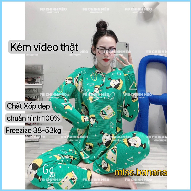 Set Bộ đồ Thun Xốp Hoạ tiết Pịjama ủ kem Áo Tay dài quần dài MaM