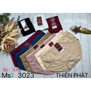 10 quần lót nữ, quần lót thun lạnh phối ren Thiên Phát size XXL 3023#