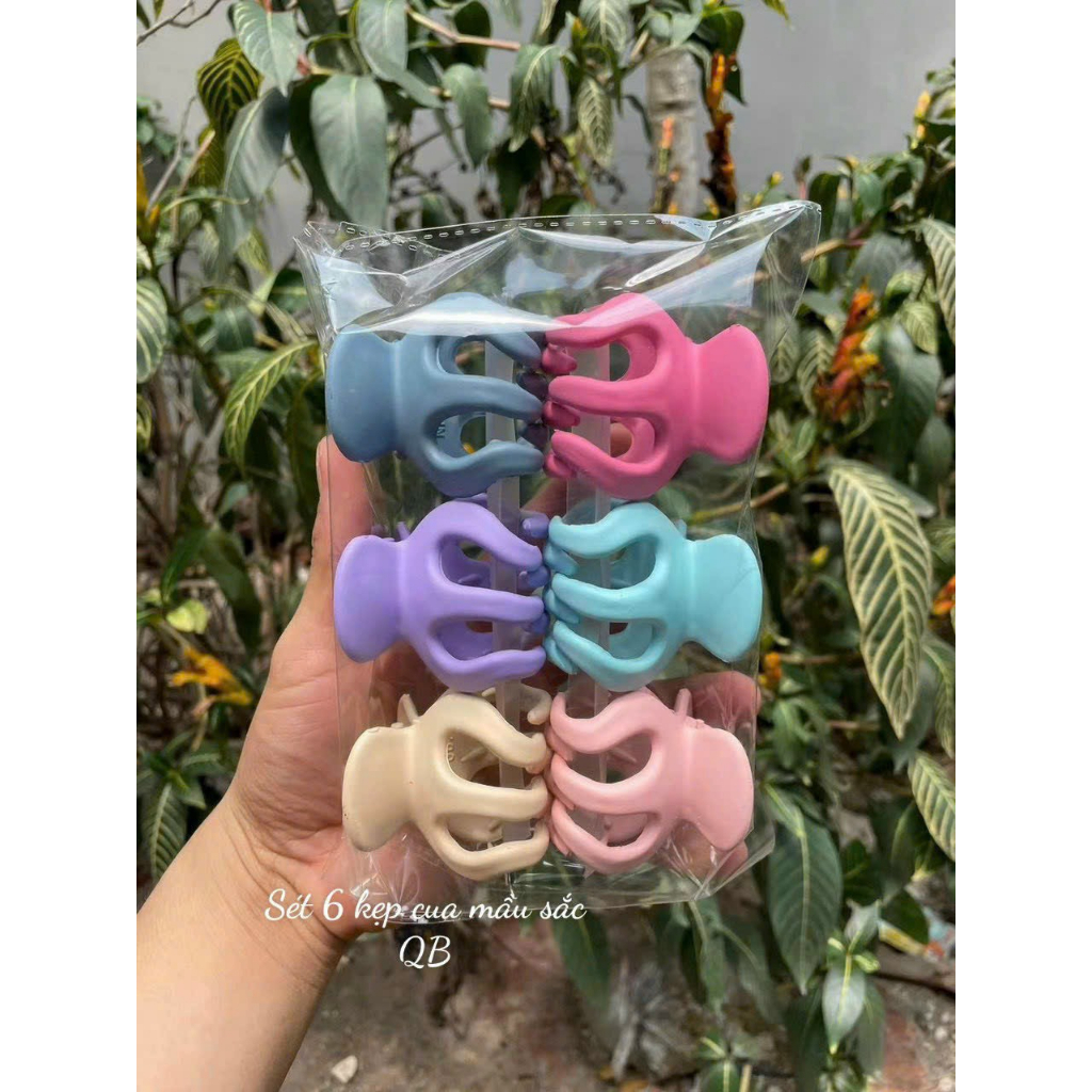 Combo 12 Kẹp tóc càng cua 6 răng thái lan