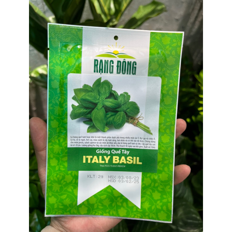 Hạt giống Quế tây Basil Rạng Đông gói 2gr