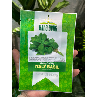 Hạt giống Quế tây Basil Rạng Đông gói 2gr