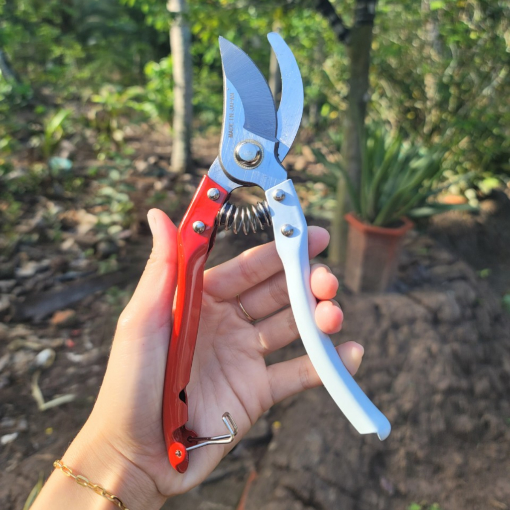 Kéo Tỉa Cành Cắt Cành Cây Cảnh Bonsai Nhật Bản - Dụng Cụ Nông Nghiệp GD Smart