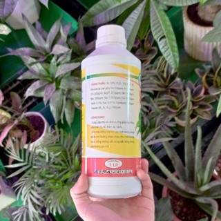 Dung dịch thủy canh Super Bio 1lit