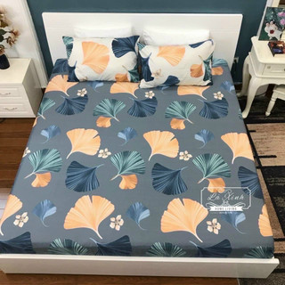 Bộ ga gối cotton 3 món beddy house các mẫu mới nhất