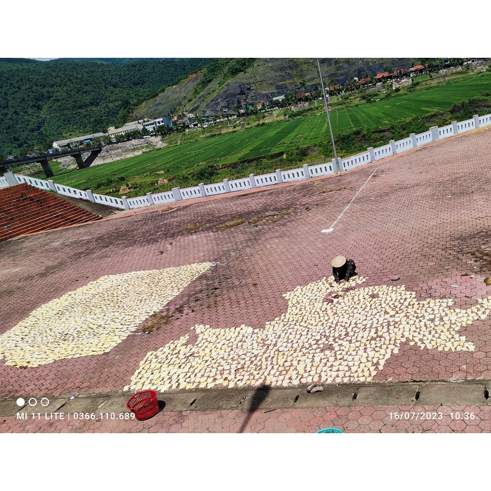 Măng Mầm Khô 1Kg thơm giòn sần sật