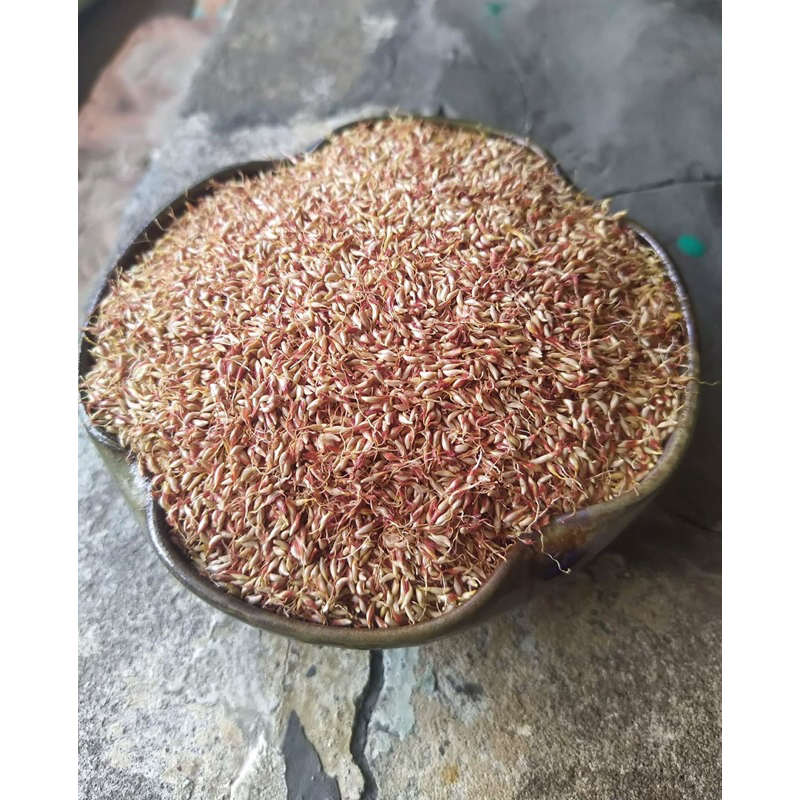 Hạt thạch mác púp Cao Bằng, thạch Aiju, thạch bông cỏ