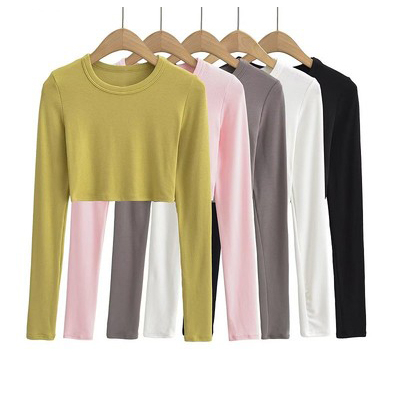 Áo croptop tăm dài tay thu đông cổ tròn trơn basic áo thun nữ thu đông màu đen trắng xám hồng xanh be LD117