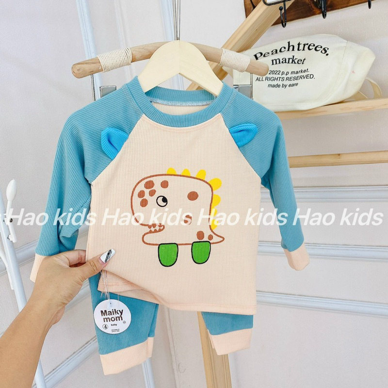 Combo 2 bộ thun tăm lạnh bé trai và bé gái