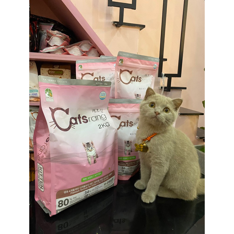 [400g-2kg]Thức ăn hạt cho mèo nhỏ CATSRANG Kitten