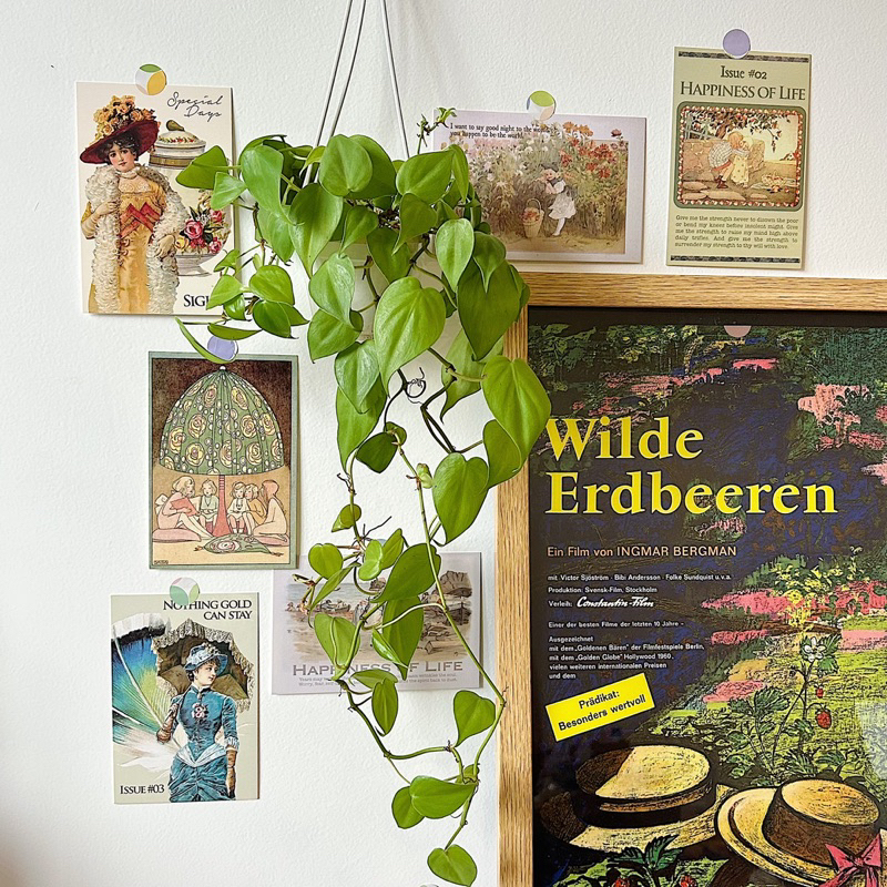 Set 30 tấm postcard phong cách Anh 1920