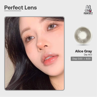Lens Ảnh Mắt Thật, Alice Gray Perfect Lens, dia 14.0, kính áp tròng xám có độ cận, không giãn không viền Perfect