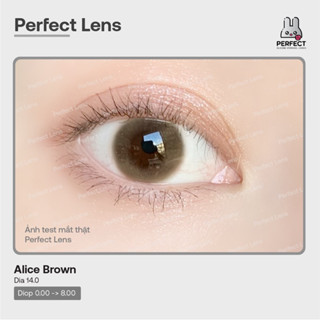 Lens Ảnh Mắt Thật, Alice Brown Perfect Lens dia 14.0