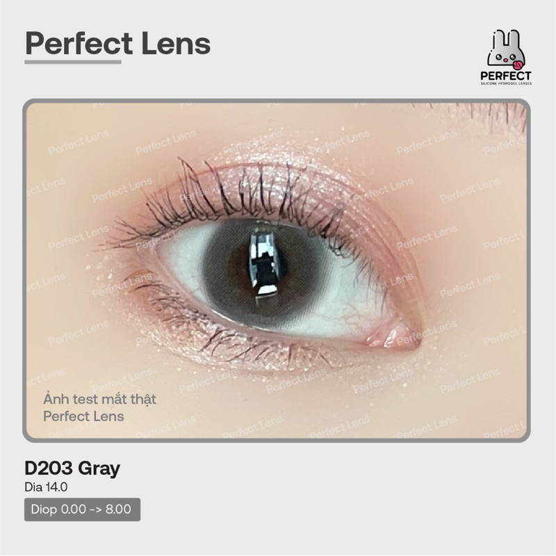 Lens Ảnh Mắt Thật, D203 Gray Perfect Lens, dia 14.0, kính áp tròng xám giãn nhỏ, có độ cận, có viền