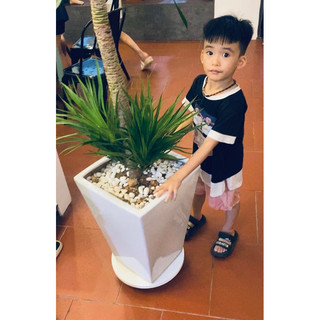 Đế chậu cây có bánh xe- đế di chuyển chậu cây composite - kệ để đồ có bánh xe di chuyển đa năng chịu tải.