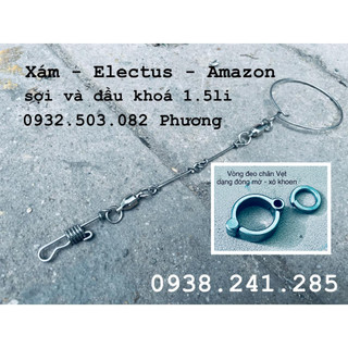 Xích chân vẹt Xám - amazon - electus