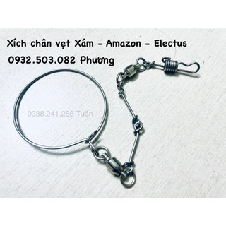 Xích chân vẹt Xám - amazon - electus