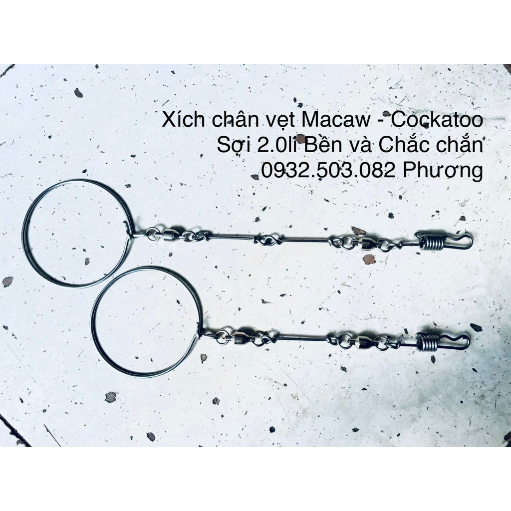 Xích chân Vẹt Macaw - Cockatoo mẫu mới