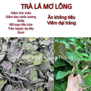 Lá mơ lông tía tươi, khô