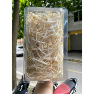 Giá đỗ hộp 300g [Chỉ giao hỏa tốc HN]