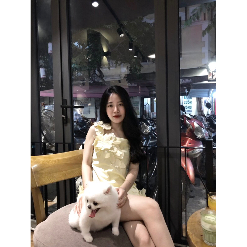 Pass váy như ảnh