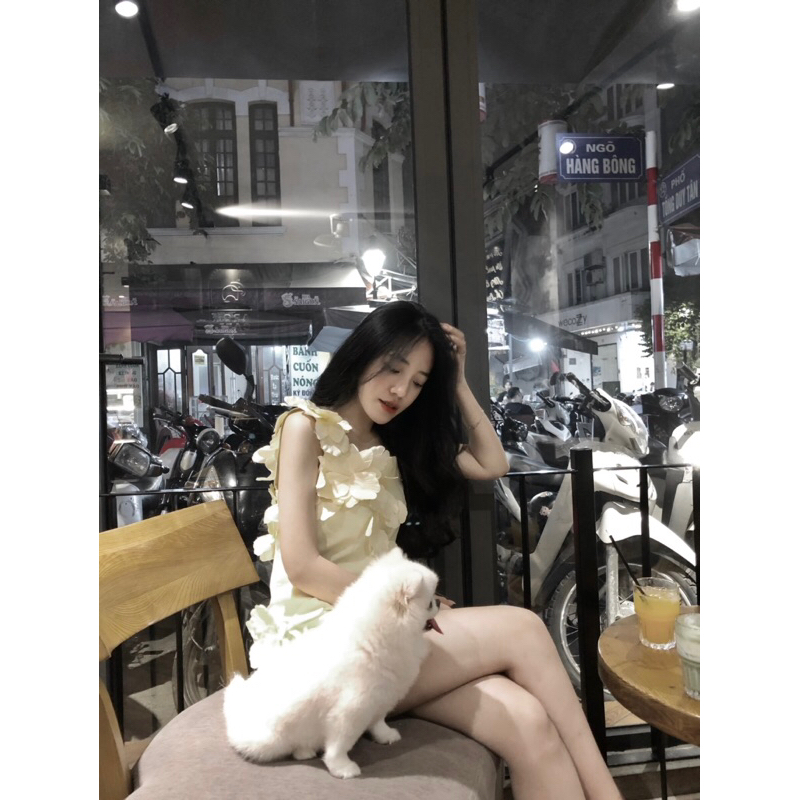 Pass váy như ảnh