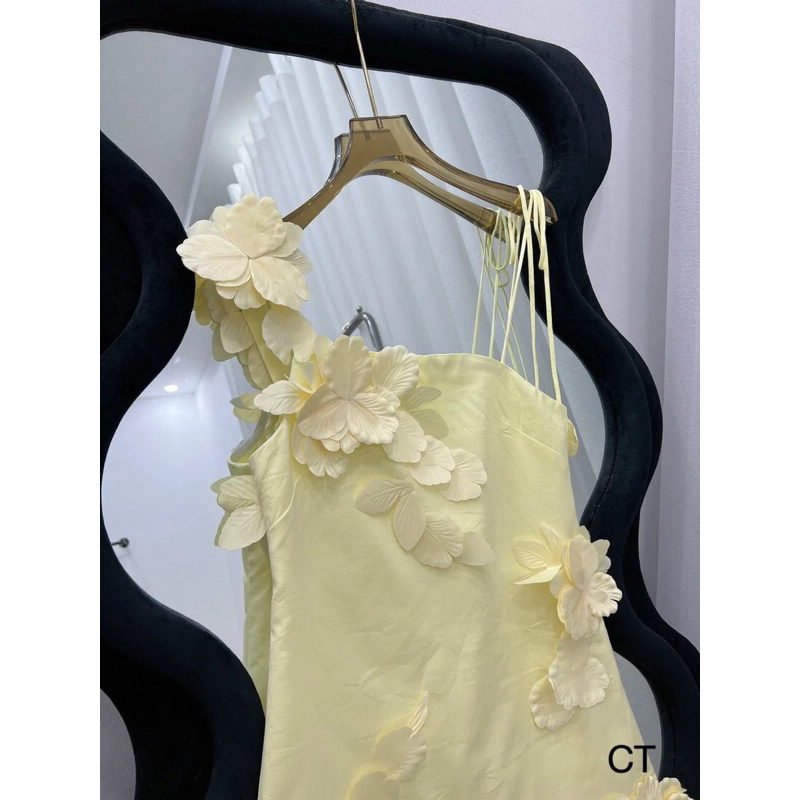 Pass váy như ảnh