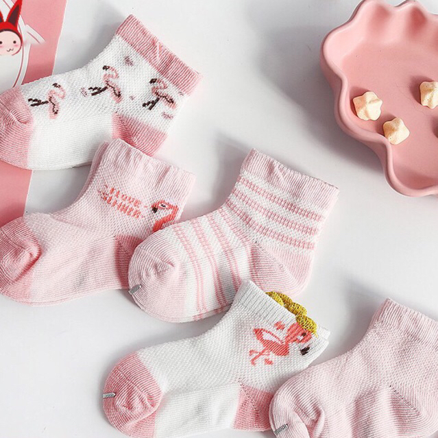Set 5 đôi tất cao cổ cotton cho bé trai bé gái Hàn quốc
