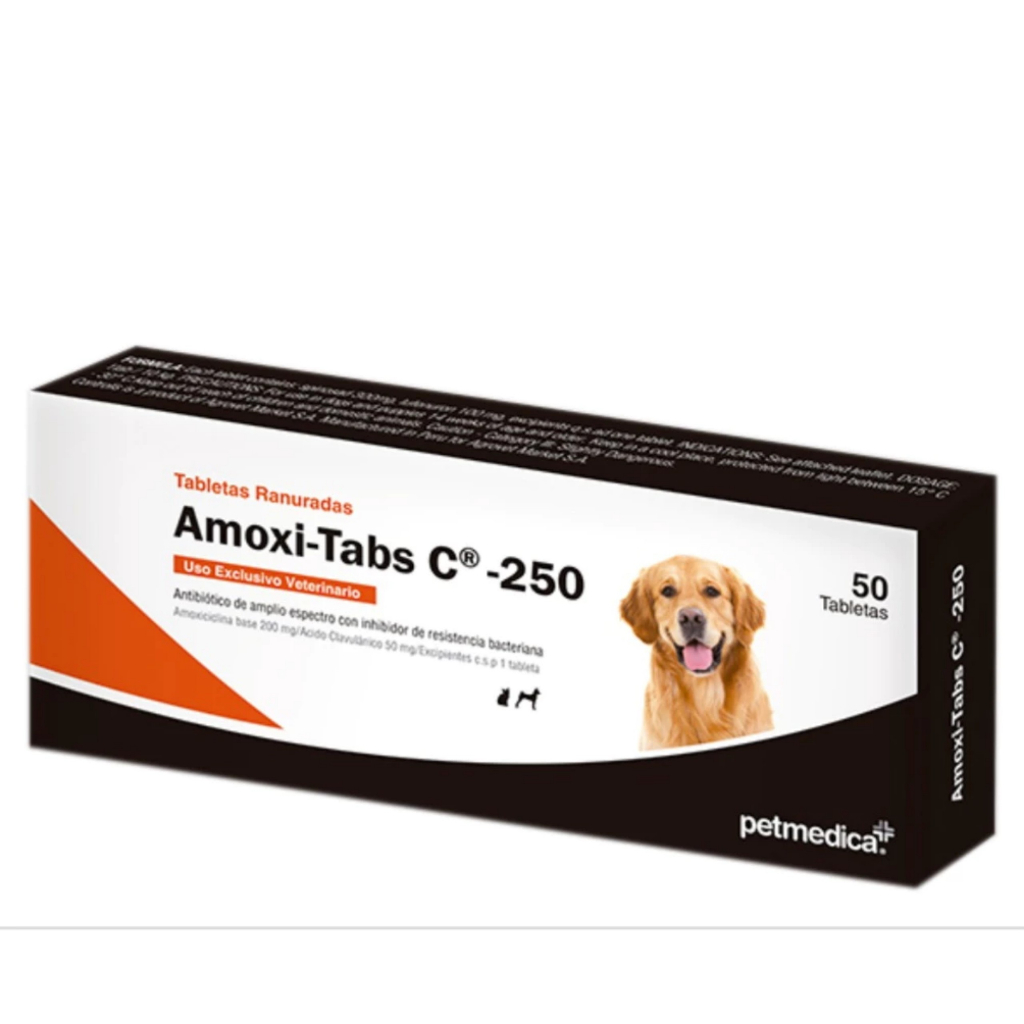 1 viên Amoxi - tabs C 250 kháng sinh phổ rộng hỗ trợ viêm hô hấp, tiết niệu, viêm da cho chó mèo