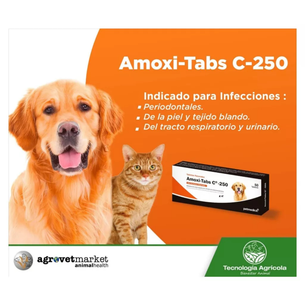 1 viên Amoxi - tabs C 250 kháng sinh phổ rộng hỗ trợ viêm hô hấp, tiết niệu, viêm da cho chó mèo